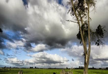 旧金山预约模特