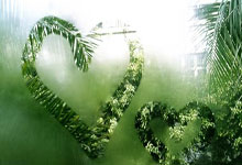 旧金山外围模特微信